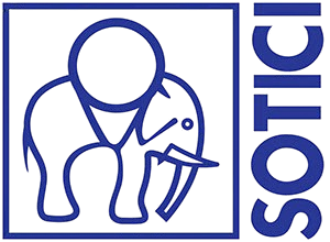 Sotici